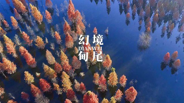 逗小猴开心系列198