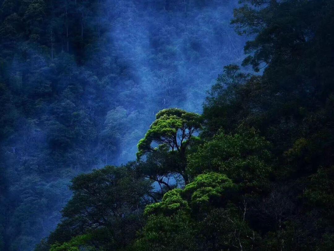 引球进框