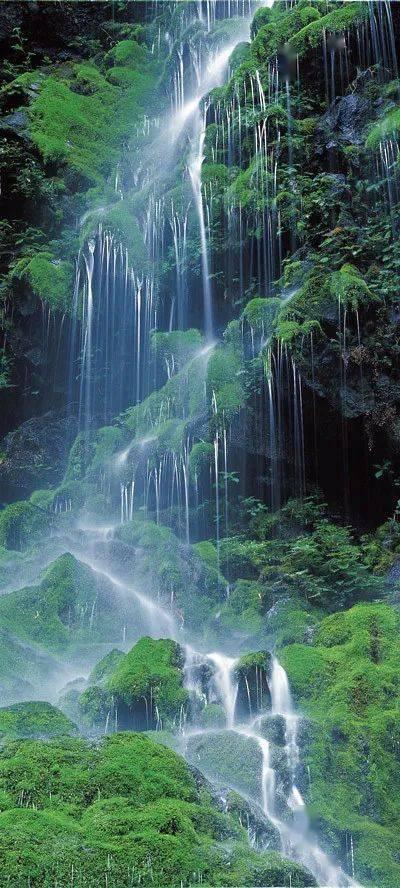 星露谷物语