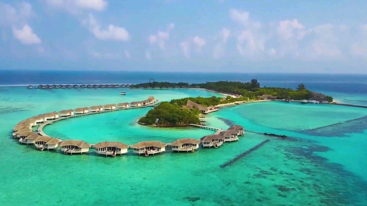 增肌和减脂可以同时进行吗？游戏画面