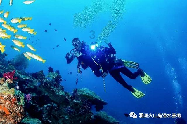 猫突然不吃东西没精神?公认恢复精神最佳的生骨肉冻干分享