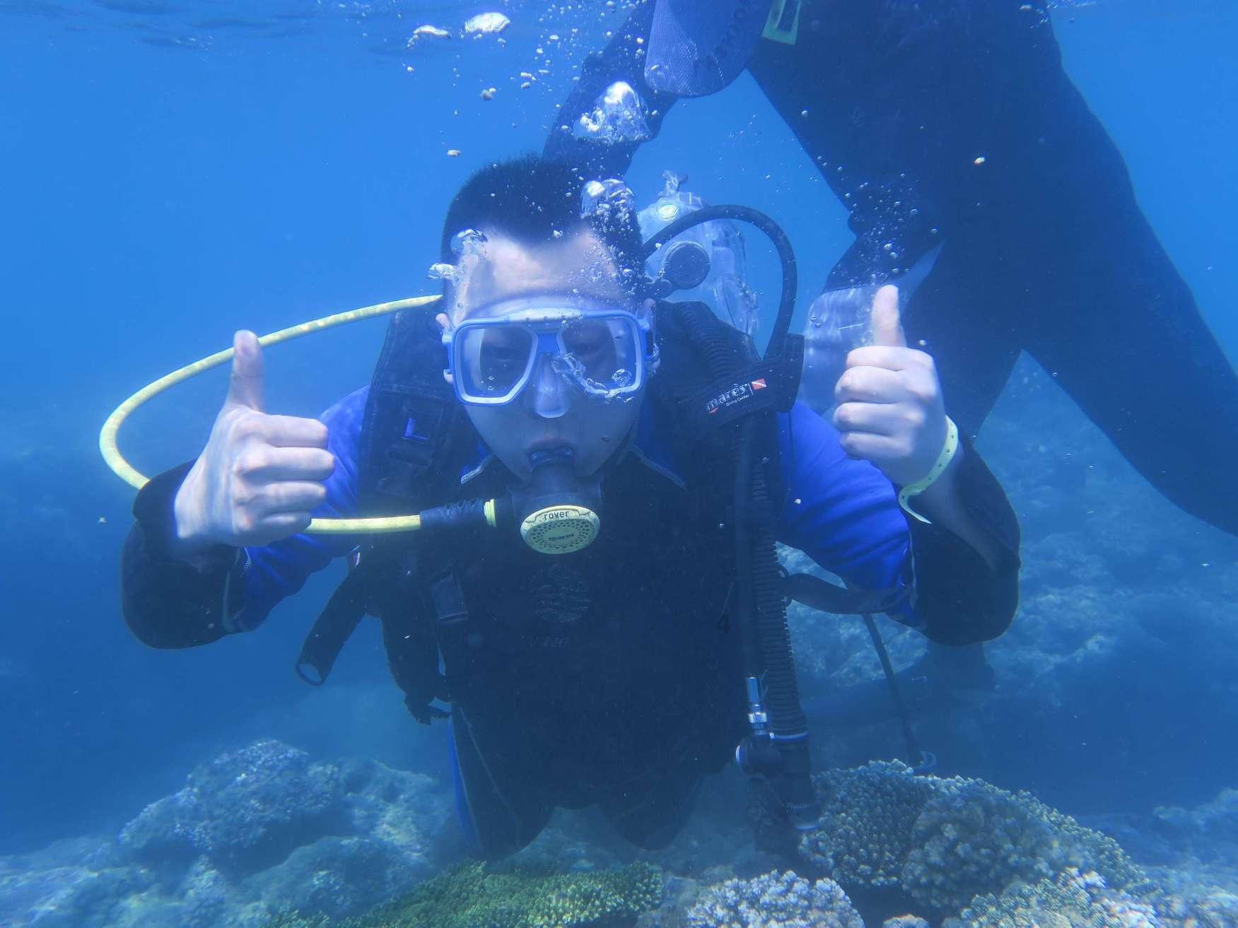 狐狸的旅程