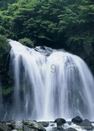 伯斯森林逃生